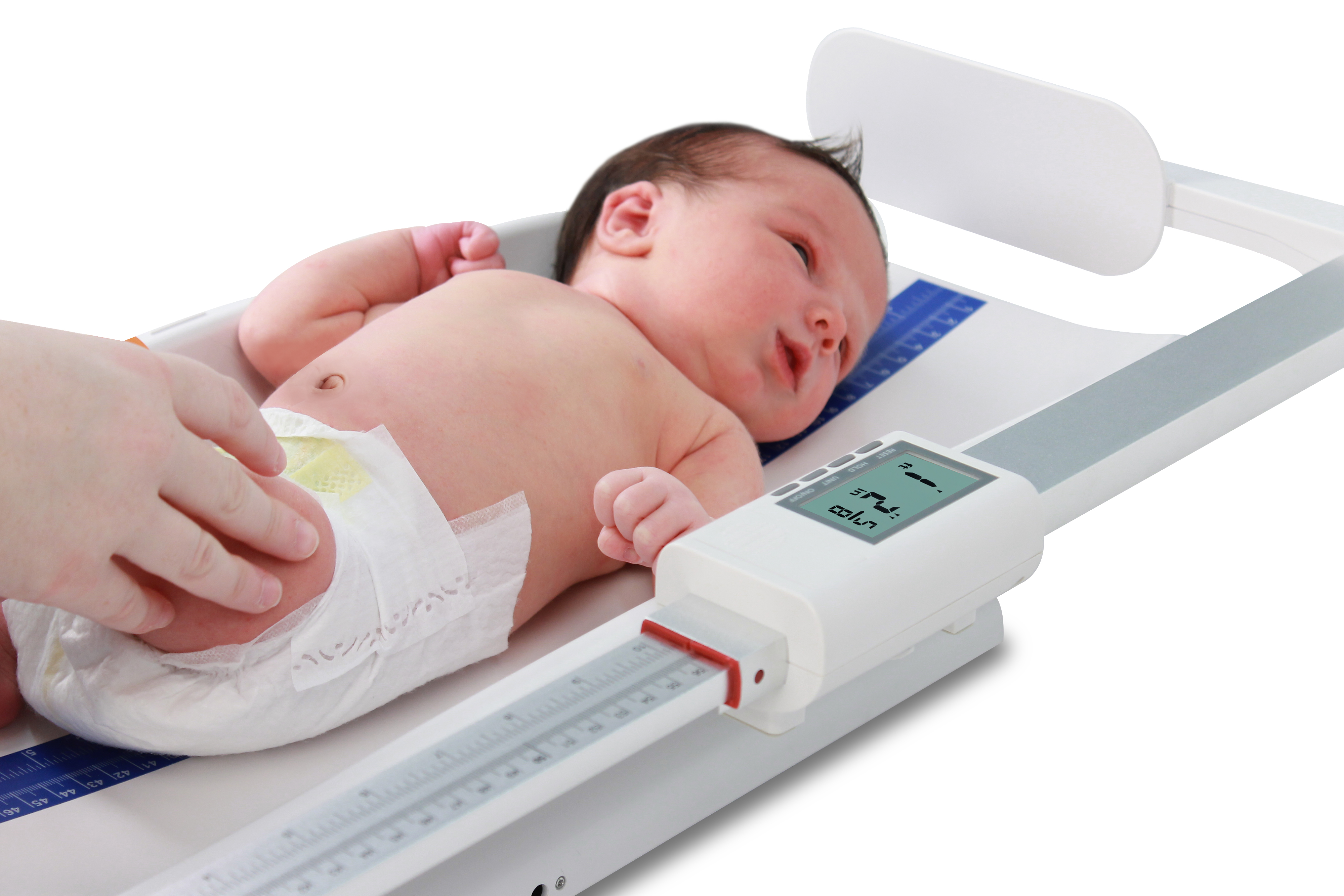 Detecto MB130 Baby Scale