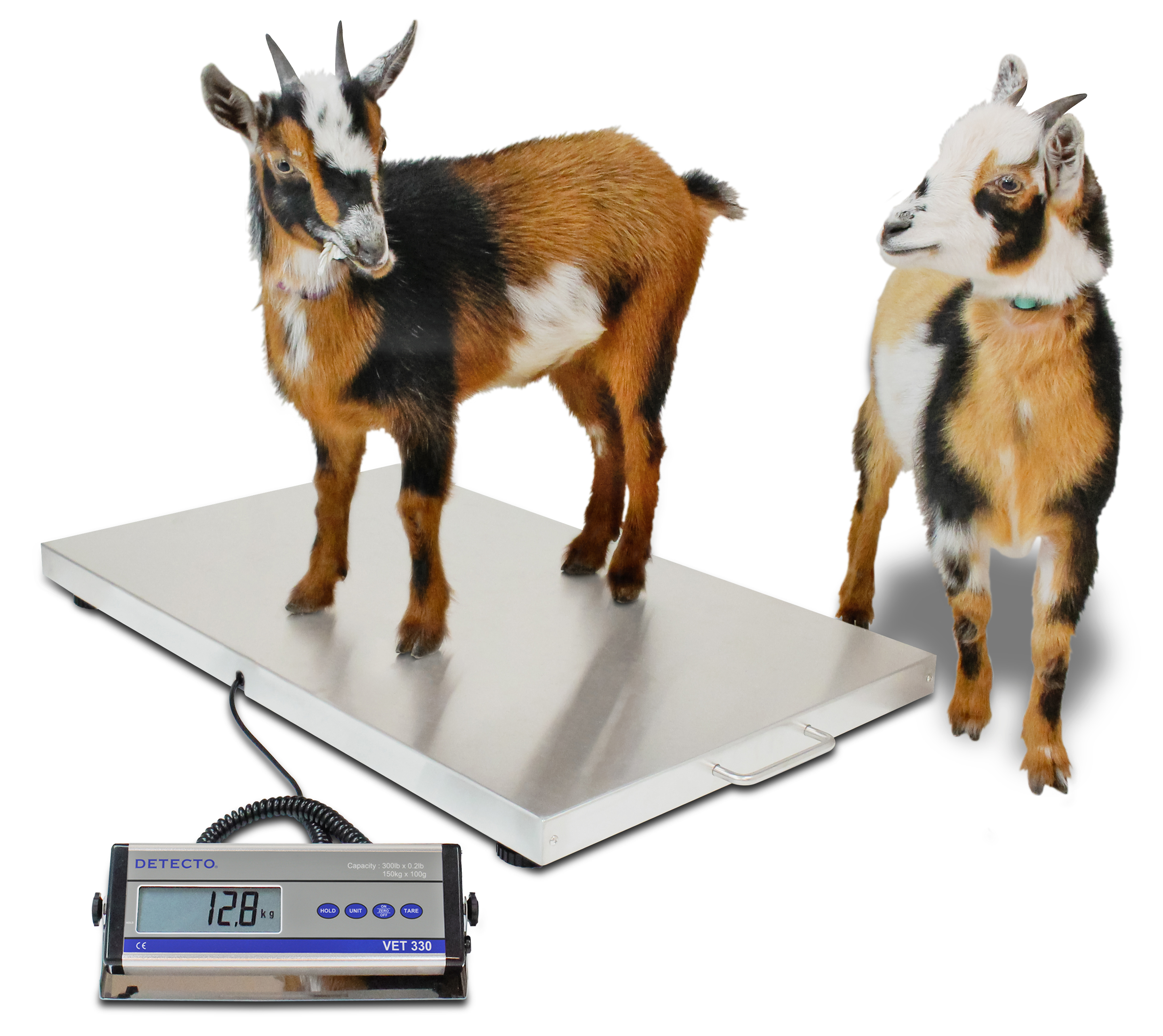 https://detecto.com/themes/ee/site/default/asset/img/product/VET-330WH-Baby-Goats-45-Degrees_1.jpg