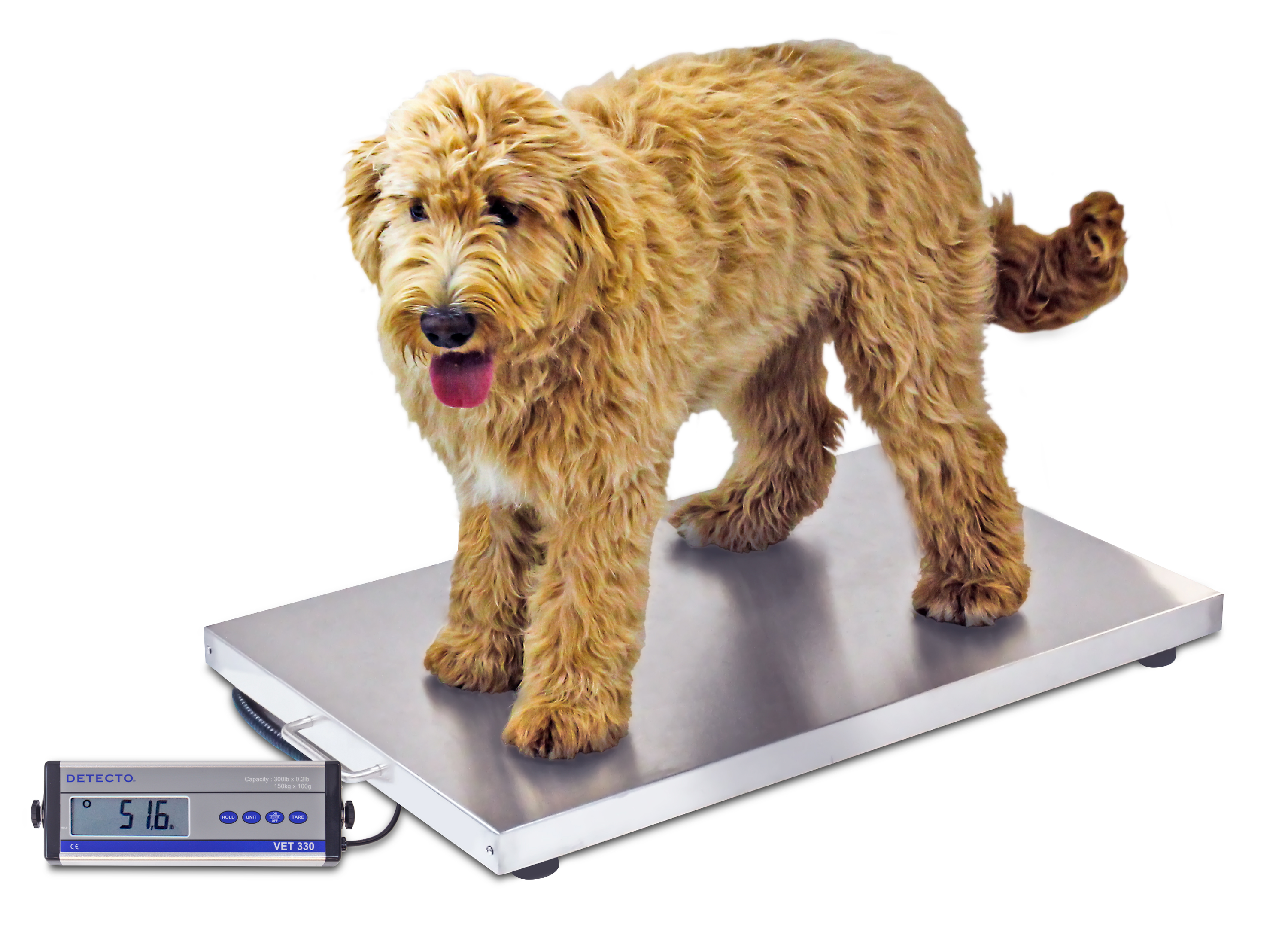 Detecto  Veterinary-Scales