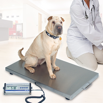 https://detecto.com/themes/ee/site/default/asset/img/product/Veterinary-Scales_1.jpg